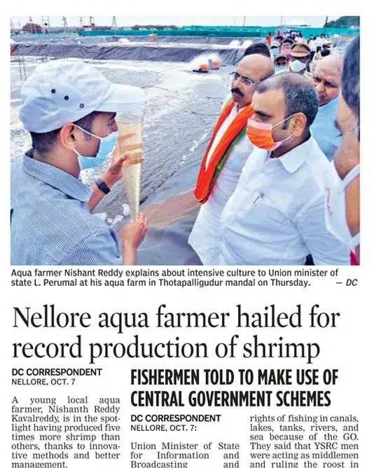 Deccan Chronicle clipping: Nellore aqua farmer hailed for record production of shrimp